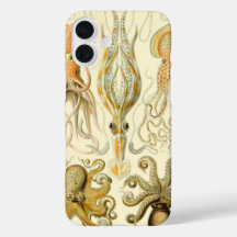 Antieke Octopus Inktvis Gamochonia door Ernst Haec