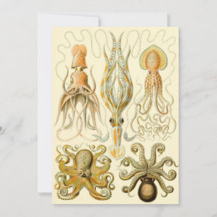 Antieke Octopus Inktvis Gamochonia door Ernst Haec Kaart