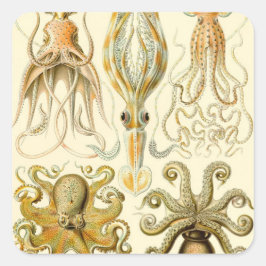 Antieke Octopus Inktvis Gamochonia door Ernst Haec Vierkante Sticker