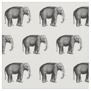 Antieke Olifant Tekening Stof