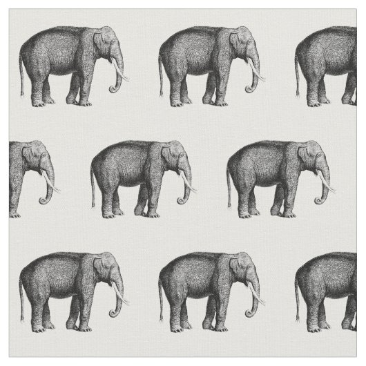 Antieke Olifant Tekening Stof (Close Up)