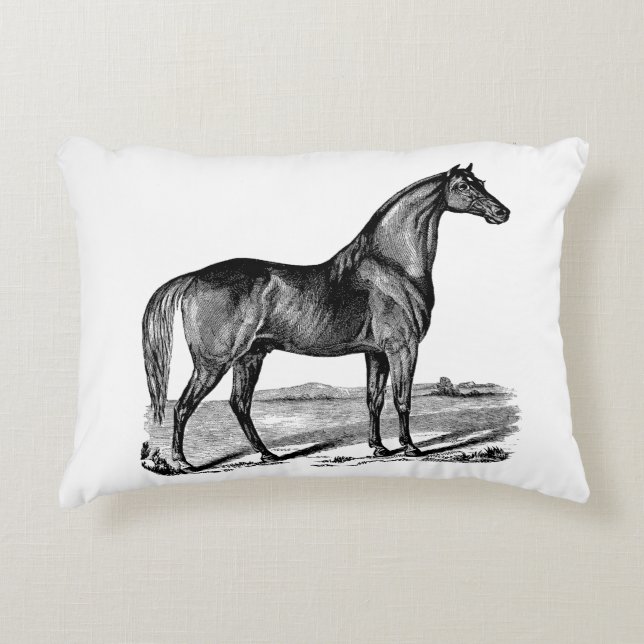 Antieke Paard Staand Accent Kussen (Voorkant)
