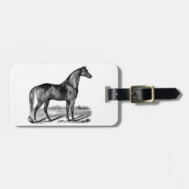 Antieke Paard Staand Bagagelabel