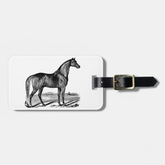 Antieke Paard Staand Bagagelabel (Voorkant horizontaal)