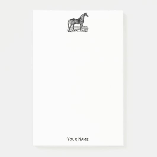 Antieke Paard Staand Post-it® Notes (Voorkant)