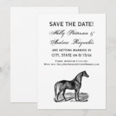 Antieke Paard Staand Save The Date (Voorkant / Achterkant)