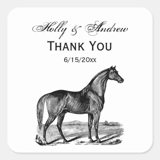 Antieke Paard Staand Vierkante Sticker (Voorkant)