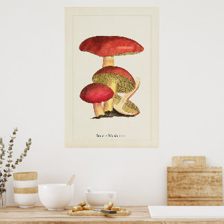 Antieke Paddenstoelen Kunstprint Poster