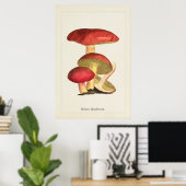 Antieke Paddenstoelen Kunstprint Poster (Thuiskantoor)