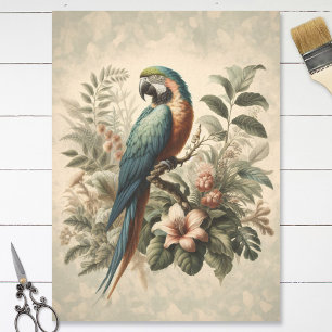 Antieke papegaai botanische schildering decoupage tissuepapier