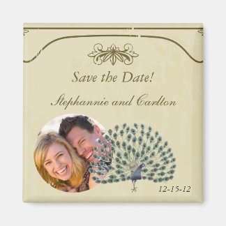 Antieke Pauw Huwelijksaankondiging Magneet