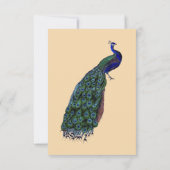 Antieke Pauw Save the Date Uitnodigingen (Achterkant)