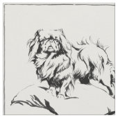 Antieke Pekingees-schets Stof (Close Up)