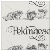 Antieke Pekingees-schets Stof (Close Up)