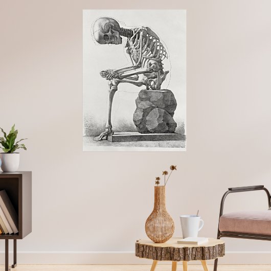 Antieke poster van skelet anatomie (Woonkamer 3)