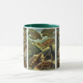 Antieke reptielen en amfibieën door Ernst Haeckel Mok (Midden)