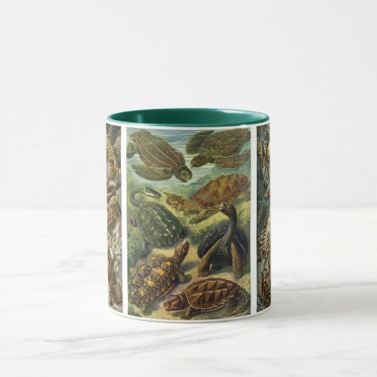 Antieke reptielen en amfibieën door Ernst Haeckel Mok (Midden)