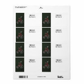 Antieke rode driewieler etiket (Full Sheet)