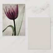 Antieke Röntgenfoto Tulp Notitiekaartje (Voorkant / Achterkant)
