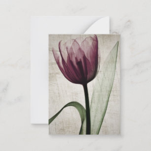 Antieke Röntgenfoto Tulp Notitiekaartje