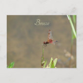 Antieke Rood Libelle Aangepaste Botanische Noot Briefkaart (Voorkant)