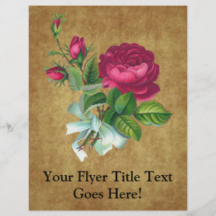 Antieke Roze Roos Flyer