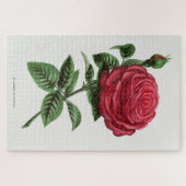 Antieke rozenlithografie, François-Frédéric Grobon Legpuzzel (Horizontaal)
