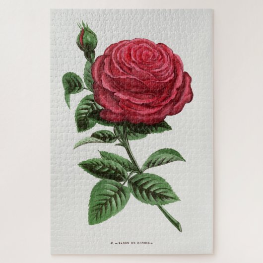 Antieke rozenlithografie, François-Frédéric Grobon Legpuzzel (Verticaal)
