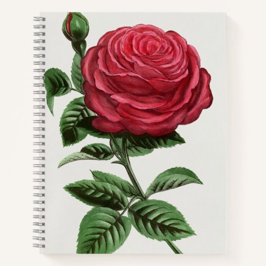 Antieke rozenlithografie, François-Frédéric Grobon Notitieboek (Voorkant)