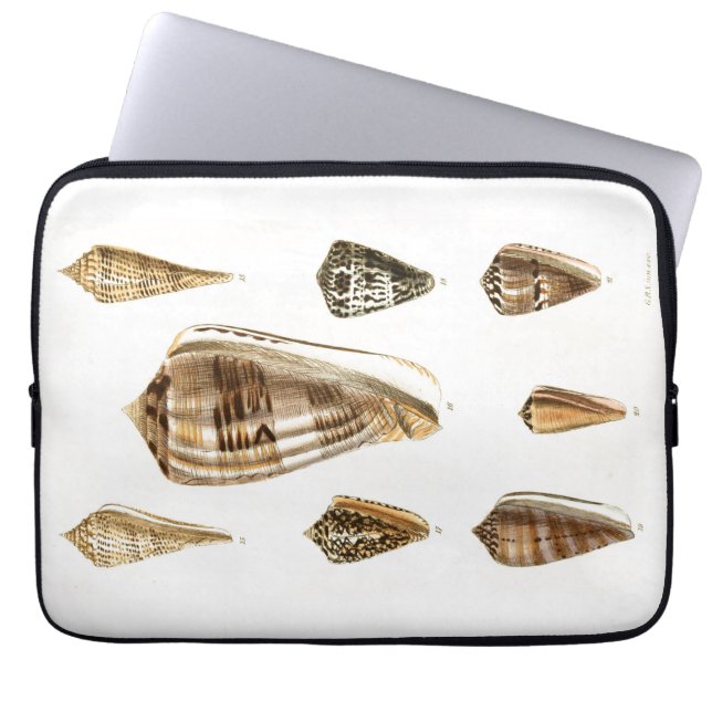 Antieke schelp sierontwerp laptop sleeve (Voorkant)