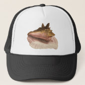 Antieke schelp van de koninginconch, zeedier trucker pet (Voorkant)