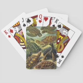 Antieke schildpadden en zeeschildpadden door Ernst Pokerkaarten
