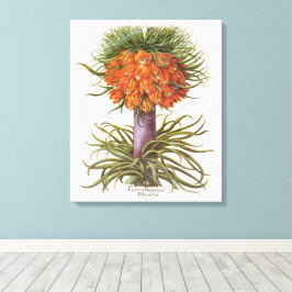Antieke Sinaasappel Fritillaria Bloemen Basilius B Canvas Afdruk
