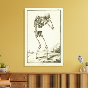 Antieke Skelet, Menselijke Anatomie door Denis Did Canvas Afdruk