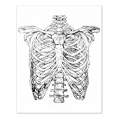 Antieke skeletbotten torso gotisch Halloween Rubberstempel (Afrduk)