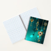 Antieke skeletsleutels op een groene achtergrond notitieboek (Binnen)