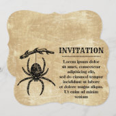 Antieke spin hangend aan tak kaart (Voorkant / Achterkant)