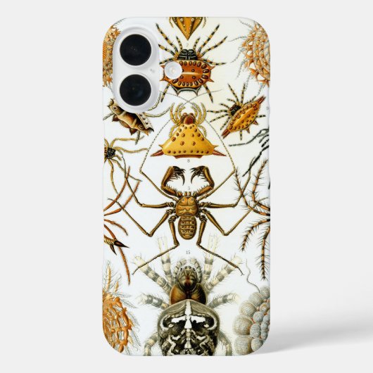 Antieke Spinnen of Spinachtigen door Ernst Haeckel Case-Mate iPhone Case (Achterkant)