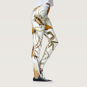 Antieke spinnen of spinachtigen door Ernst Haeckel Leggings