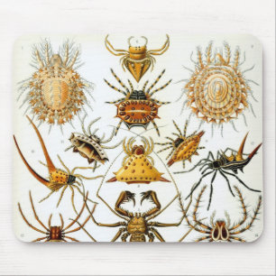 Antieke Spinnen of Spinachtigen door Ernst Haeckel Muismat