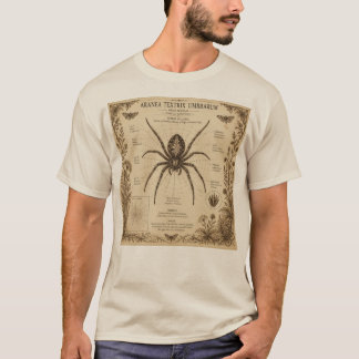 Antieke spinnenanatomie t-shirt