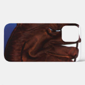Antieke Sport, Oude Leren Honkbalhandschoen Case-Mate iPhone Case (Achterkant (horizontaal))