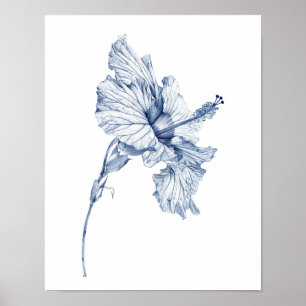 Antieke tekening Hibiscus bloem schets hibiscus , Poster
