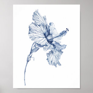 Antieke tekening Hibiscus bloem schets hibiscus , Poster
