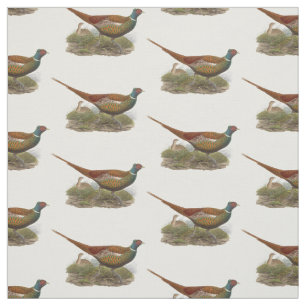 Antieke tekening van fazant jachtvogel in kleur stof