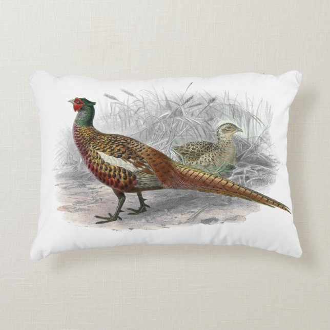 Antieke tekening van fazant jachtvogel kleur #2 accent kussen (Voorkant)