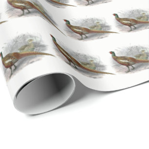 Antieke tekening van fazant jachtvogel kleur #2 cadeaupapier