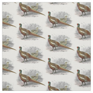 Antieke tekening van fazant jachtvogel kleur #2 stof