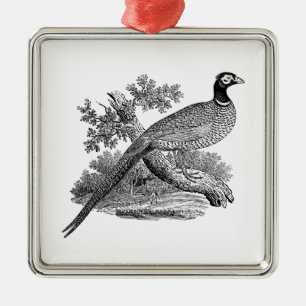 Antieke tekening van fazant, jachtvogel, zwart-wit metalen ornament