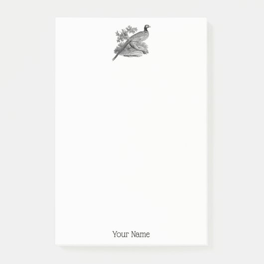 Antieke tekening van fazant, jachtvogel, zwart-wit post-it® notes (Voorkant)